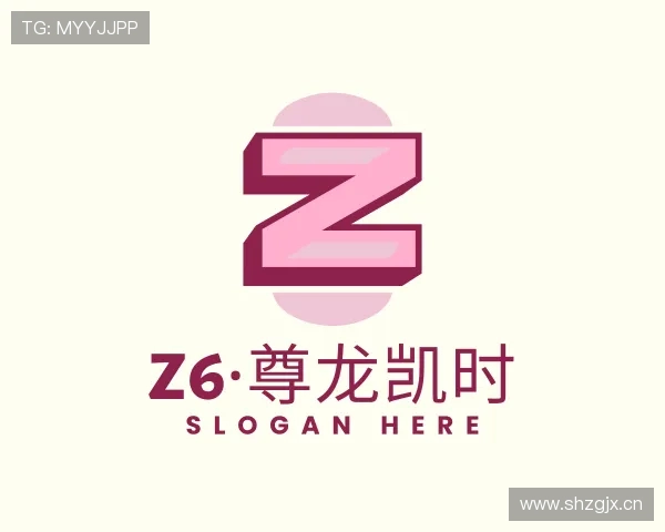 认识Z6·尊龙凯时